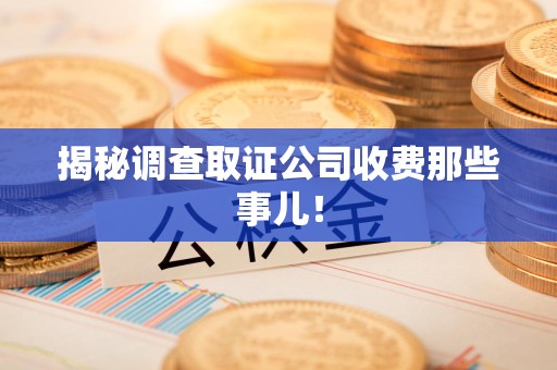 浦城揭秘调查取证公司收费那些事儿！