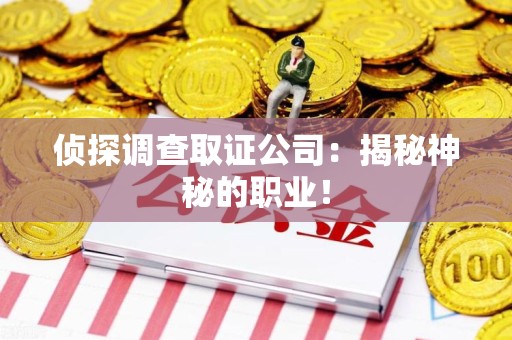 浦城侦探调查取证公司：揭秘神秘的职业！