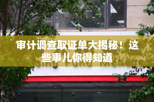 浦城审计调查取证单大揭秘！这些事儿你得知道