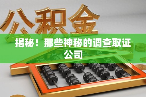 浦城揭秘！那些神秘的调查取证公司