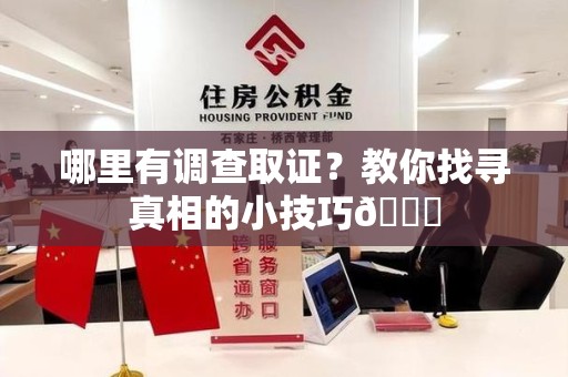 浦城哪里有调查取证？教你找寻真相的小技巧😎