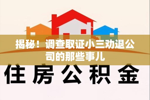 浦城揭秘！调查取证小三劝退公司的那些事儿