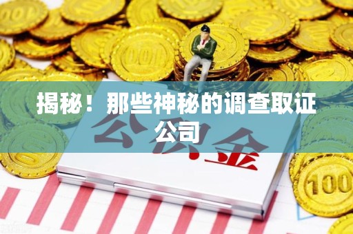 浦城揭秘！那些神秘的调查取证公司
