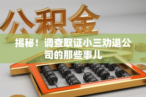 浦城揭秘！调查取证小三劝退公司的那些事儿