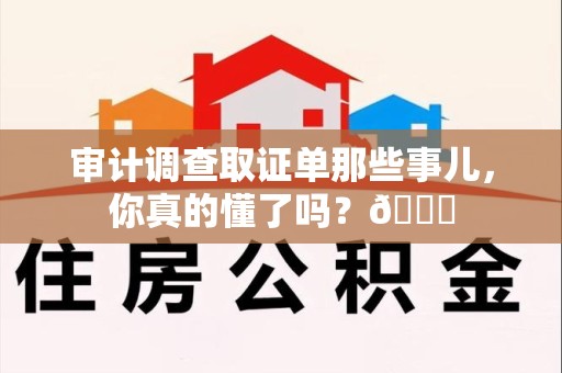 浦城审计调查取证单那些事儿，你真的懂了吗？😎