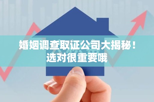 浦城婚姻调查取证公司大揭秘！选对很重要哦