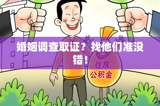 浦城婚姻调查取证？找他们准没错！